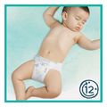 panes pampers harmonie no1 50tmx vp extra photo 1