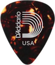 pennes d addario 1csh4 10 shell medium 70mm 10 tmx photo