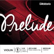 d addario j811 e medium xordi biolioy photo