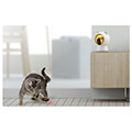 petoneer petoneer smart laser for dog cat play smart dot extra photo 1
