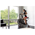 schwinn airdyne ad8 pro schwinn p138 extra photo 1