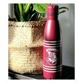 pyramid harry potter crest stripes metal drinks bottle 550ml extra photo 2