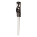 logilink patch cable cat81 40ge 2000mhz s ftp grey 050m extra photo 1