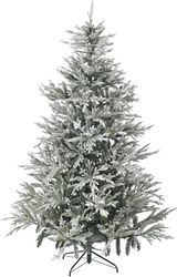 dendro snowy norway spruce 270ek photo