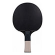 raketa ping pong sunflex color comp g40 photo