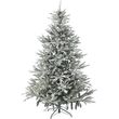 dendro snowy norway spruce 270ek photo