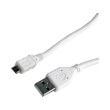 cablexpert ccp musb2 ambm w 10 micro usb cable 3m white photo